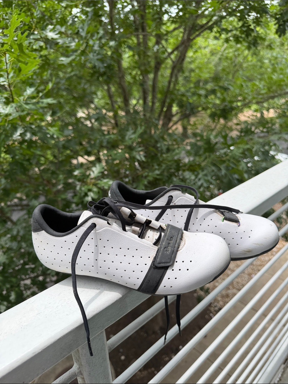 Rapha Black and Gray Classic Cycling Shoe (Women's)